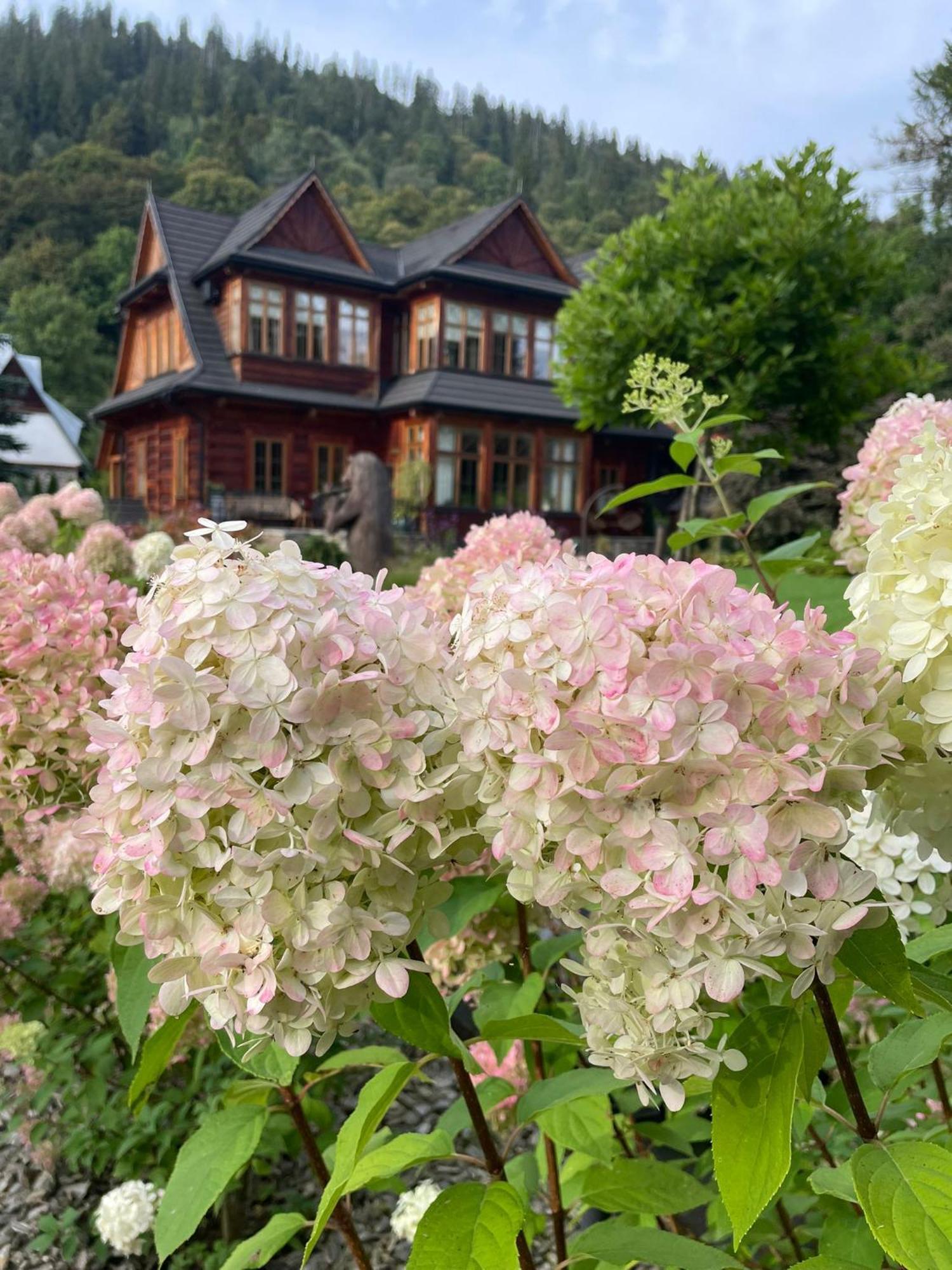 Niedzwiedzia Garden Sauna Bed & Breakfast